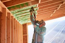 Best Insulation for Existing Homes  in Johnson City, KS