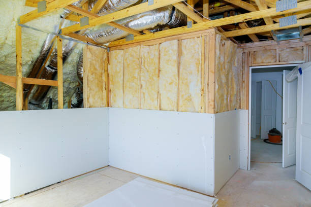 Best Eco-Friendly or Green Insulation Solutions  in Johnson City, KS