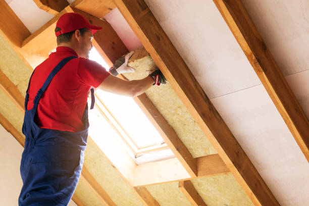 Eco-Friendly or Green Insulation Solutions in Johnson City, KS